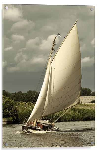 Yacht in full sail Acrylic by Stephen Mole
