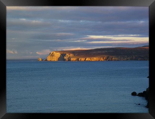 whiten head Framed Print by malcolm maclean