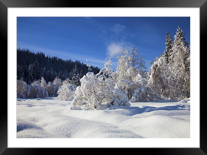 Winters Blanket Framed Mounted Print by Mike Dawson