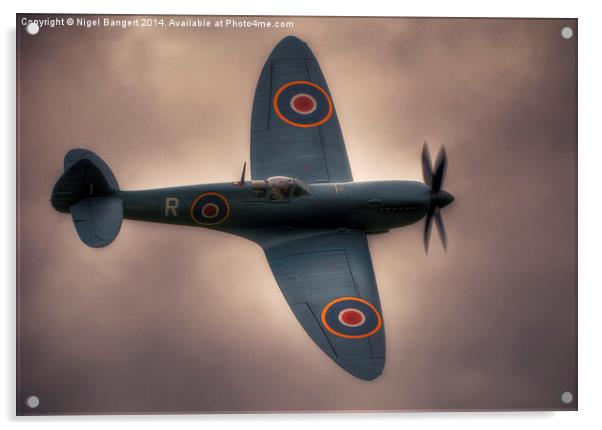  Reconnaissance Spitfire PL965R MkXI Acrylic by Nigel Bangert