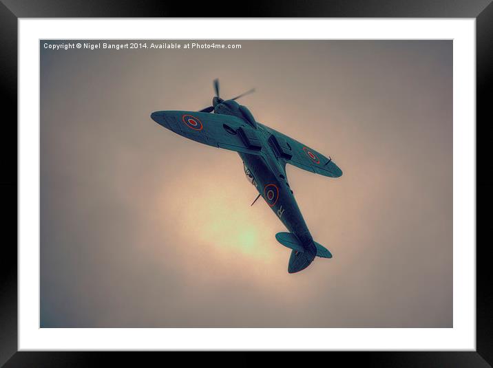   Reconnaissance Spitfire PL965R MkXI Framed Mounted Print by Nigel Bangert