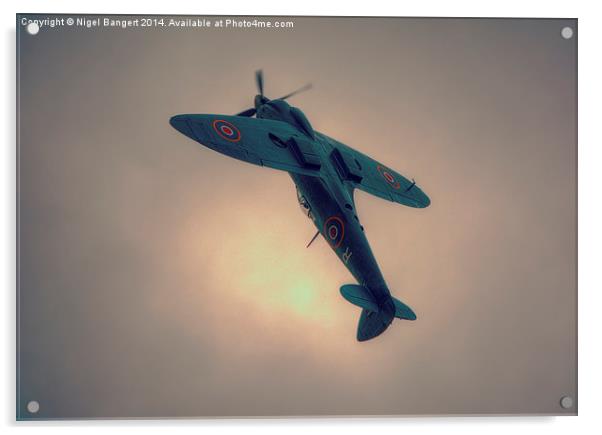   Reconnaissance Spitfire PL965R MkXI Acrylic by Nigel Bangert