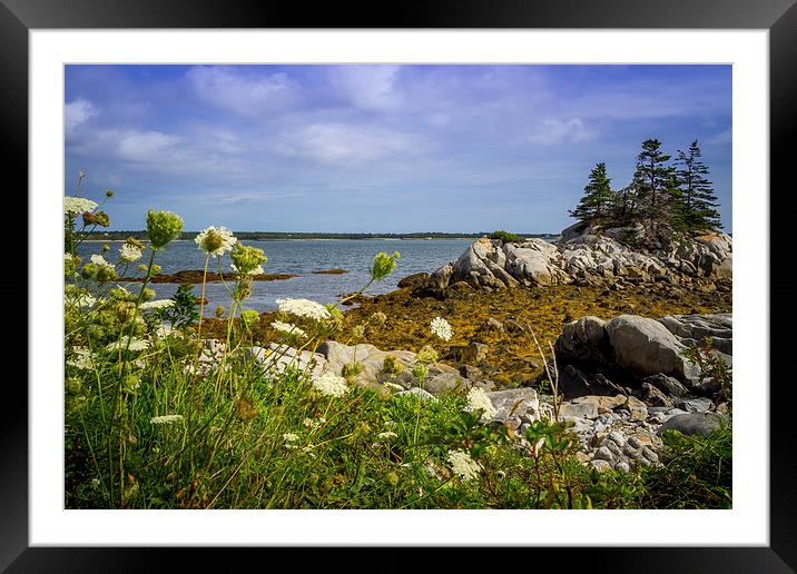 Pleasant Point, Nova Scotia, Canada Framed Mounted Print by Mark Llewellyn