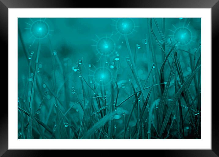  Fairy Lights  Framed Mounted Print by carin severn