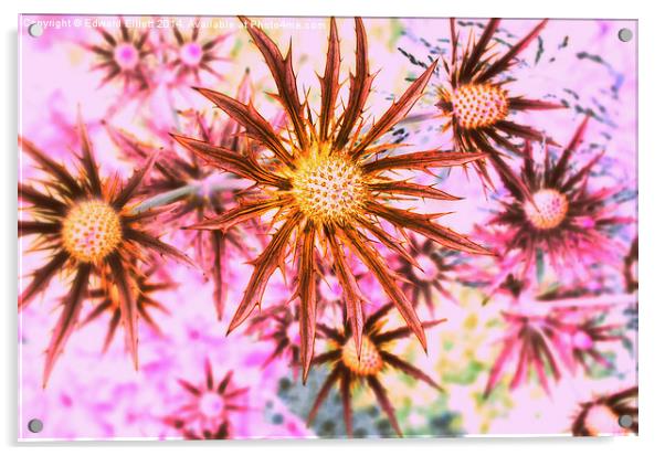  60's Flower Power Acrylic by Edward Elliott