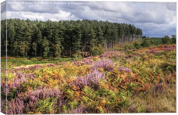   Cannock Chase Canvas Print by Diane Griffiths