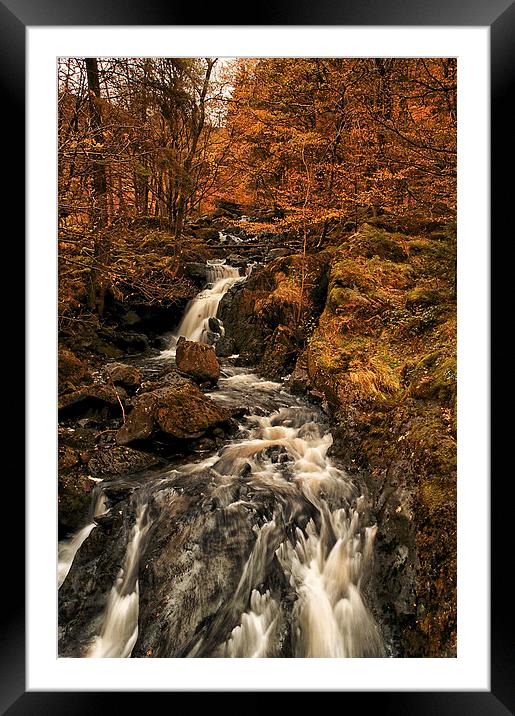  Dob Ghyll in Autumn Framed Mounted Print by Jacqi Elmslie