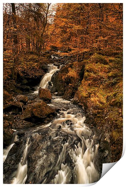  Dob Ghyll in Autumn Print by Jacqi Elmslie