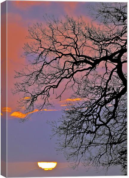 Sunrise Silhouette  Canvas Print by Darren Burroughs