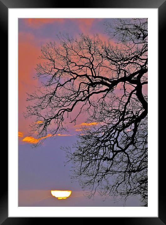 Sunrise Silhouette  Framed Mounted Print by Darren Burroughs