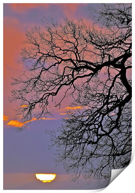 Sunrise Silhouette  Print by Darren Burroughs