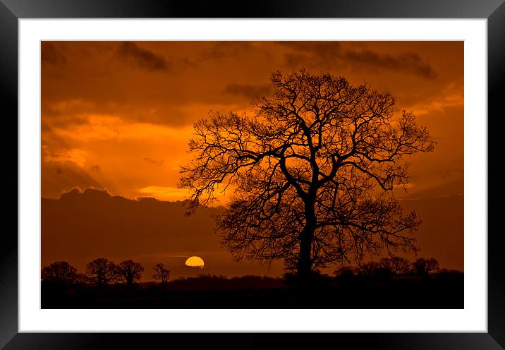 Winter Sunrise Framed Mounted Print by Darren Burroughs