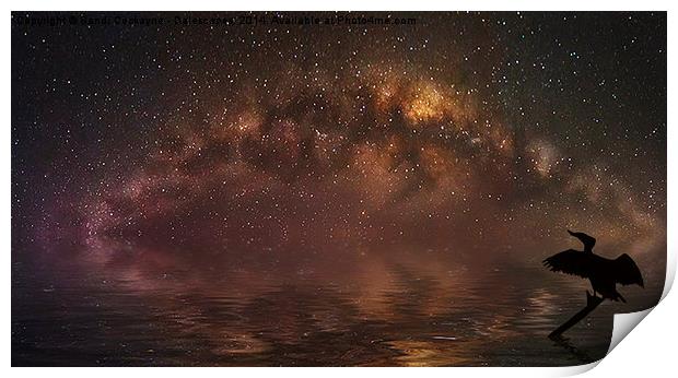  Basking In Starlight Print by Sandi-Cockayne ADPS