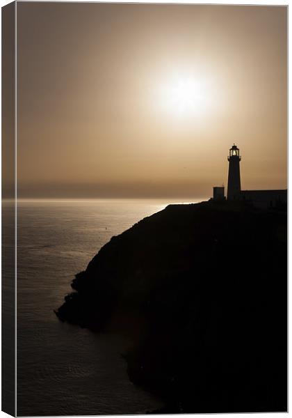 South Stack Lighthouse Canvas Print by Gary Finnigan