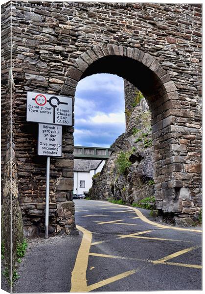  Conway Town centre, North Wales Canvas Print by Frank Irwin