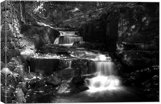  Lumsdale Valley Waterfall b/w Canvas Print by Catherine Fowler