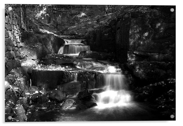  Lumsdale Valley Waterfall b/w Acrylic by Catherine Fowler