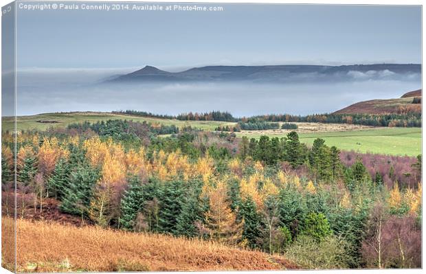  Mist surrounds Roseberry Topping Canvas Print by Paula Connelly