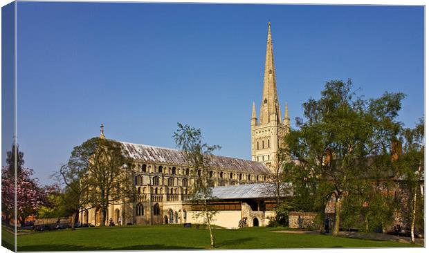  Norwich Cathedral Canvas Print by Darren Burroughs