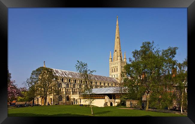  Norwich Cathedral Framed Print by Darren Burroughs