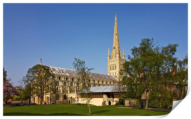  Norwich Cathedral Print by Darren Burroughs