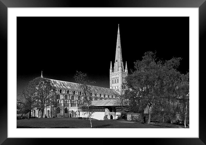  Norwich Cathedral Framed Mounted Print by Darren Burroughs