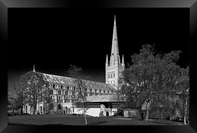  Norwich Cathedral Framed Print by Darren Burroughs