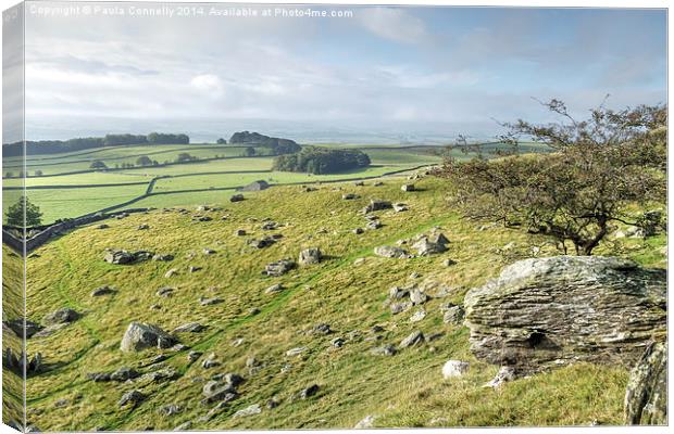  Yorkshire Dales View Canvas Print by Paula Connelly