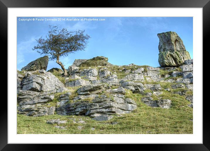 Yorkshire Dales Limestone Framed Mounted Print by Paula Connelly