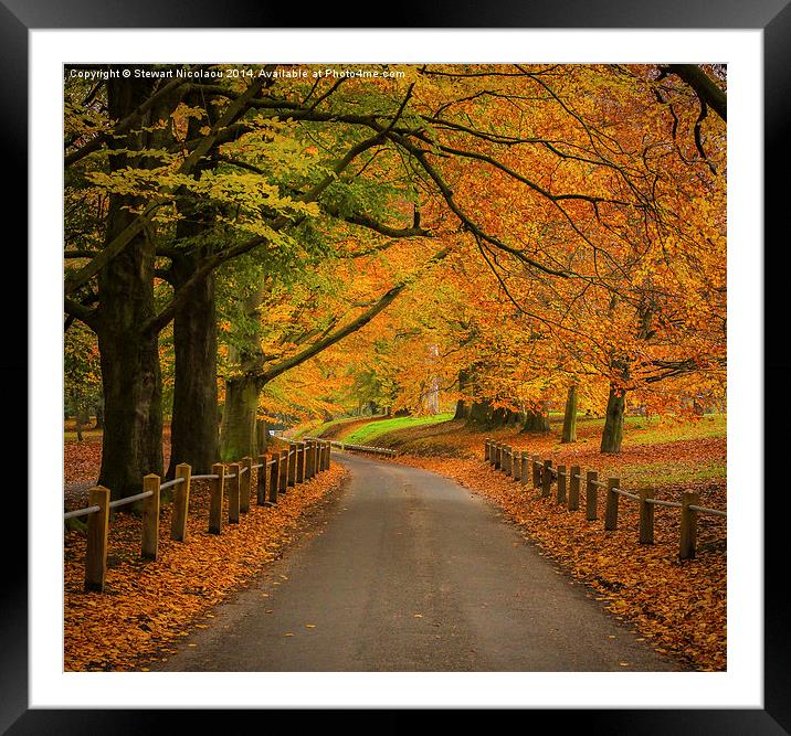 Autumn at Mote Park  Framed Mounted Print by Stewart Nicolaou