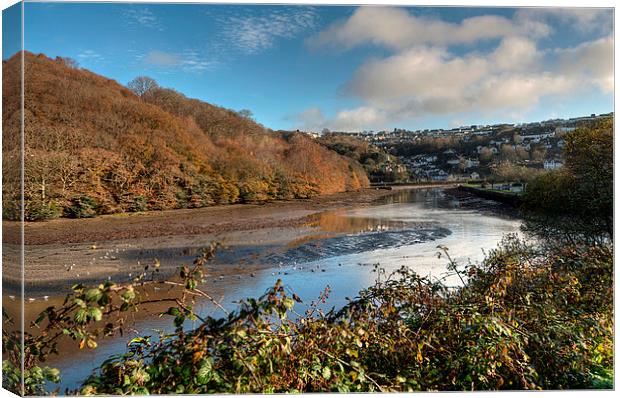 Trenant Woods on the West Looe River Canvas Print by Rosie Spooner