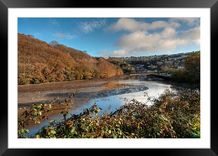 Trenant Woods on the West Looe River Framed Mounted Print by Rosie Spooner