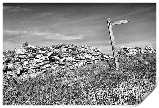  The path to Kimmeridge. Print by Mark Godden