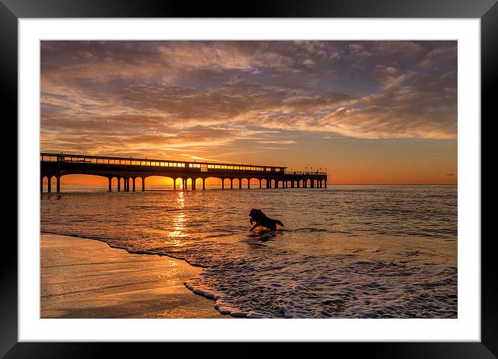  Early Morning Dip Framed Mounted Print by Jennie Franklin