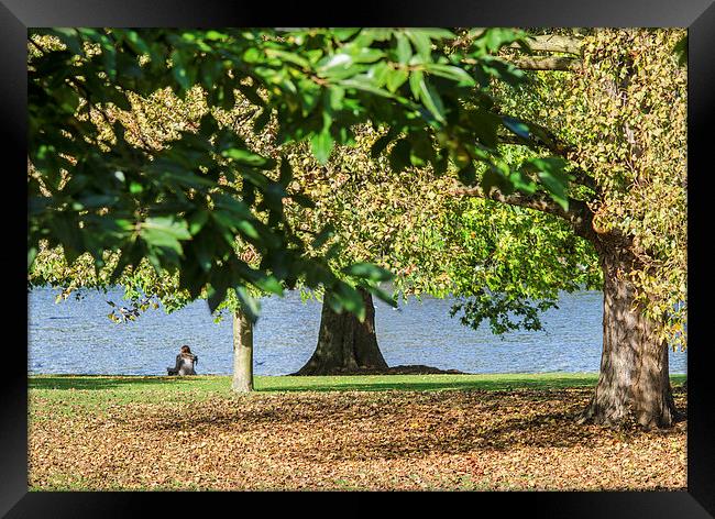  Autumn In Hyde Park Framed Print by LensLight Traveler
