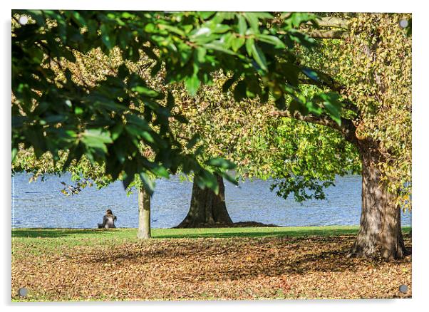  Autumn In Hyde Park Acrylic by LensLight Traveler