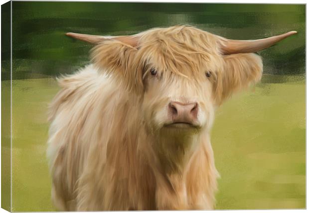  Oil And Chalk Painted Highland Cow Canvas Print by Tanya Hall