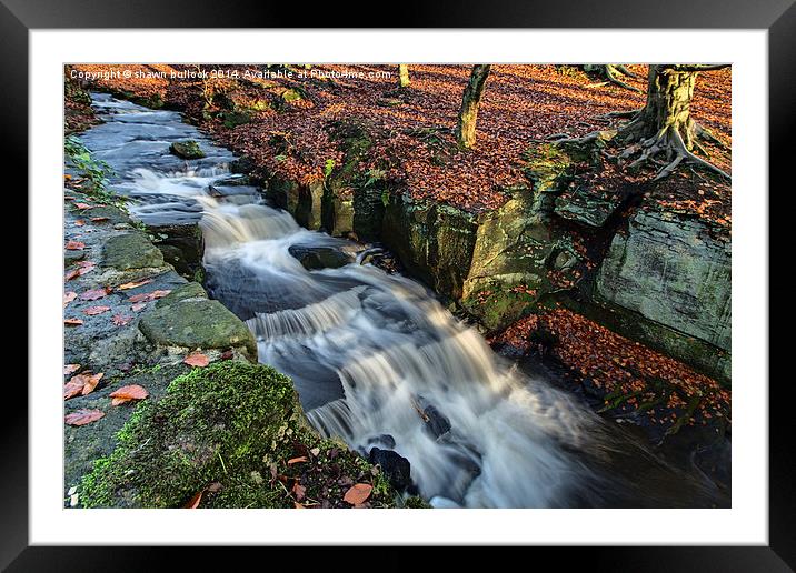  lumsdale falls Framed Mounted Print by shawn bullock