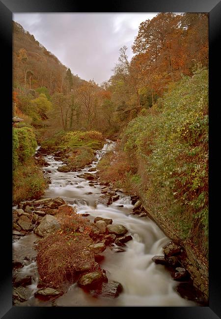 glen lyn Gorge in autumn  Framed Print by graham young