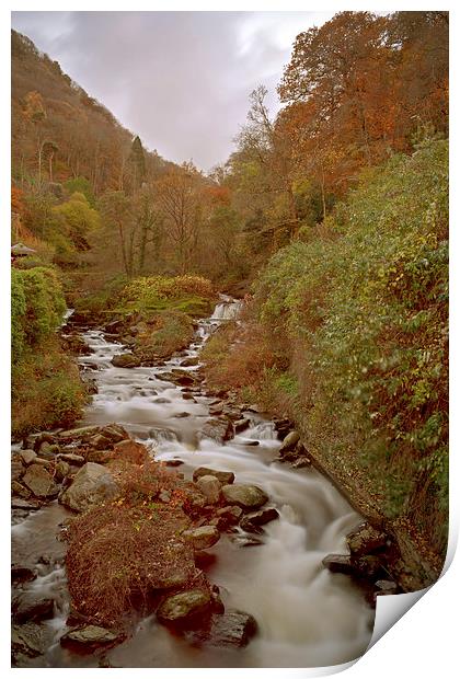 glen lyn Gorge in autumn  Print by graham young