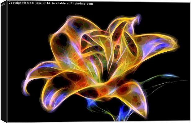  lily  Canvas Print by Mark Cake