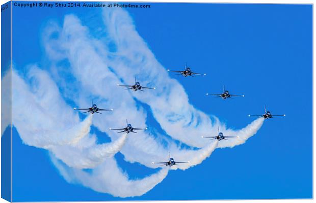 Formation Canvas Print by Ray Shiu