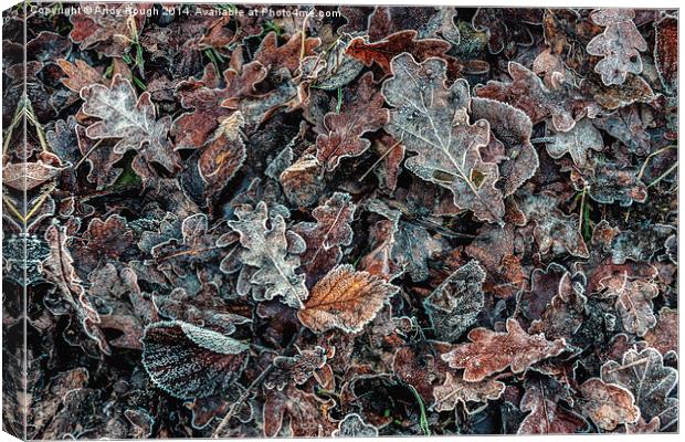  Frosted Autumn Leaves Canvas Print by Andy Hough
