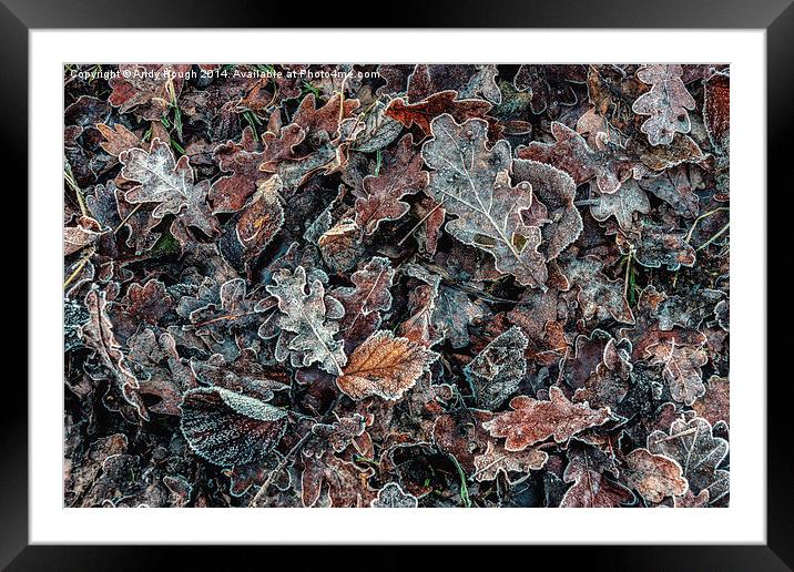  Frosted Autumn Leaves Framed Mounted Print by Andy Hough