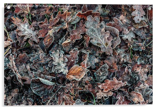  Frosted Autumn Leaves Acrylic by Andy Hough