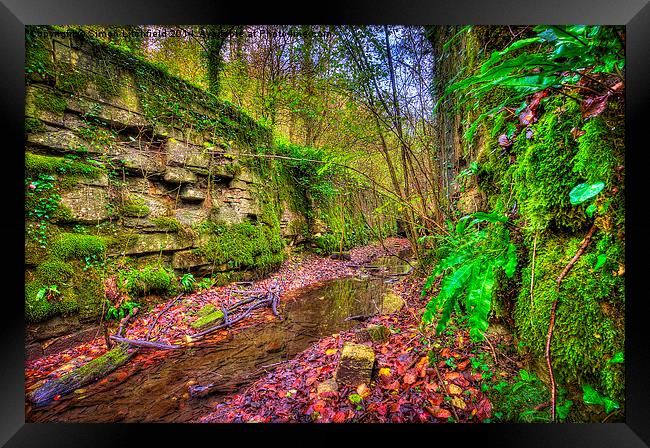 Abandoned Locks on the Thames and Severn Canal Framed Print by Simon Litchfield