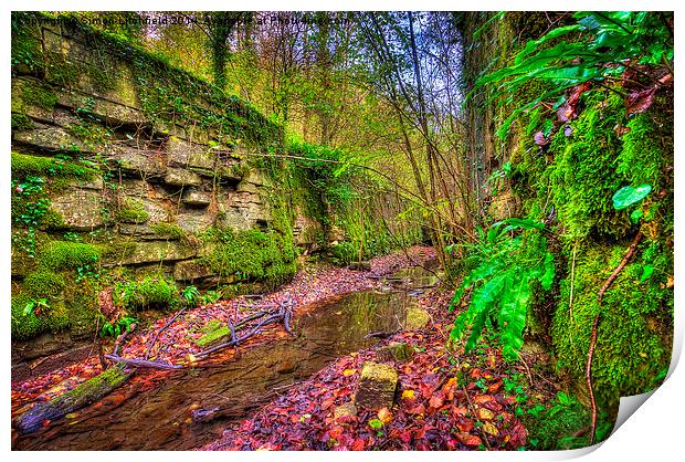 Abandoned Locks on the Thames and Severn Canal Print by Simon Litchfield