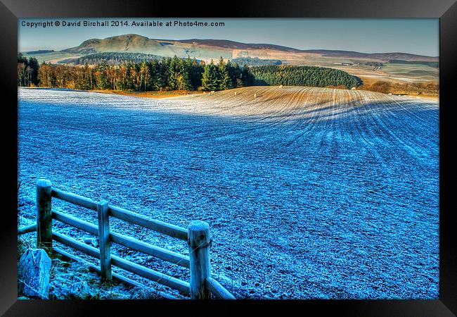  Frosty Day in West Lothian Framed Print by David Birchall