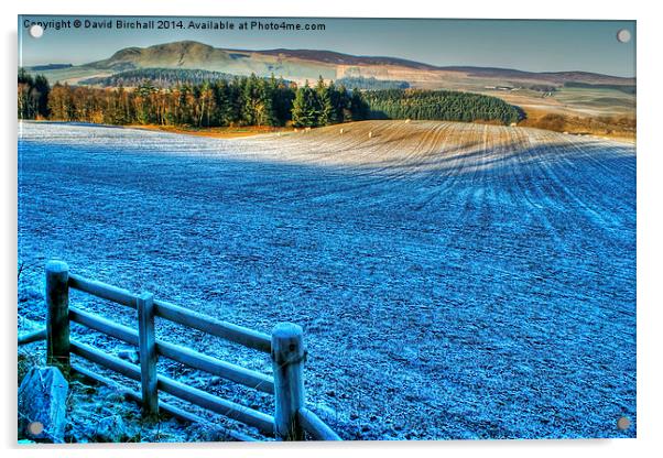  Frosty Day in West Lothian Acrylic by David Birchall