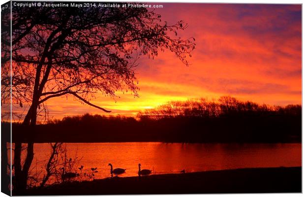  Sunrise Over Swan Lake Canvas Print by Jacqueline Mays